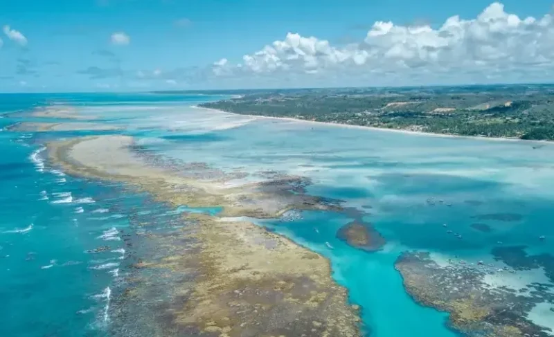 Rota dos Corais: turismo sustentável une PE e AL