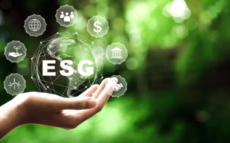 IA e ESG: 16 mil pequenos negócios ganham vantagem competitiva
