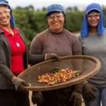 CNPJ obrigatório adiado para produtores rurais e autônomos