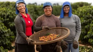 CNPJ obrigatório adiado para produtores rurais e autônomos