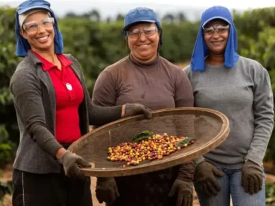 CNPJ obrigatório adiado para produtores rurais e autônomos