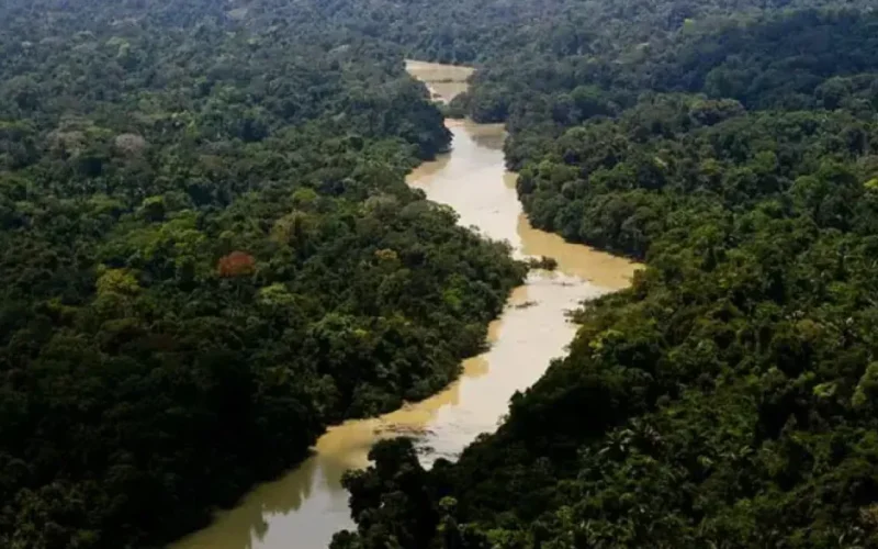 Sebrae e BNDES investem R$ 103 mi em cooperativas da Amazônia