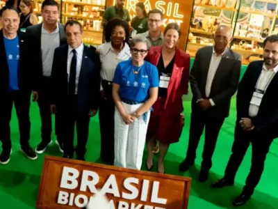 BioMarket Maranhão: vitrine para 39 negócios da bioeconomia